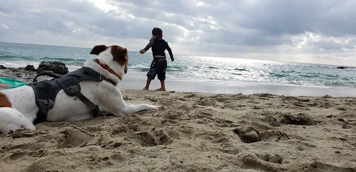 Cornerstone Veterinary Hospital Picture 8