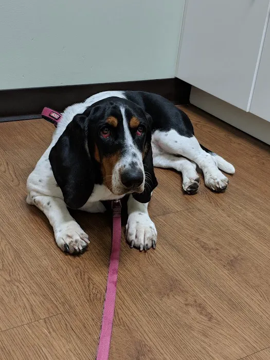 Cornerstone Veterinary Hospital Picture 6