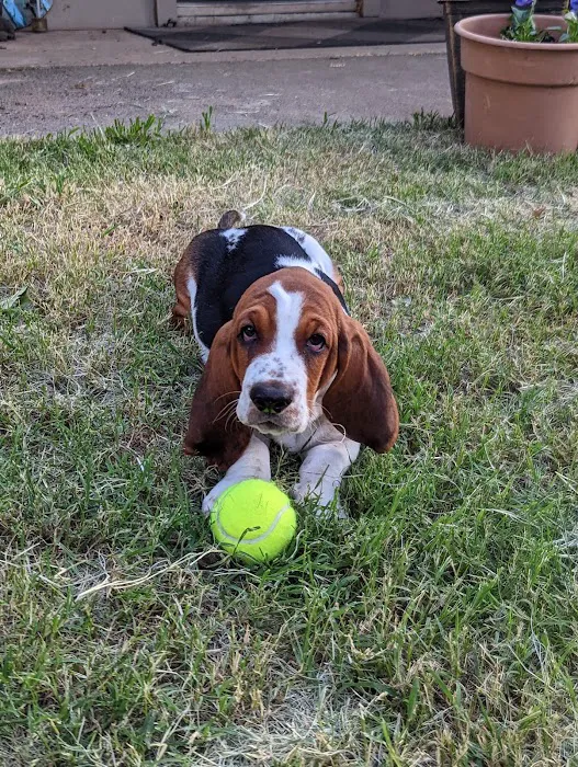 Riverbend Mobile Veterinary Picture 2