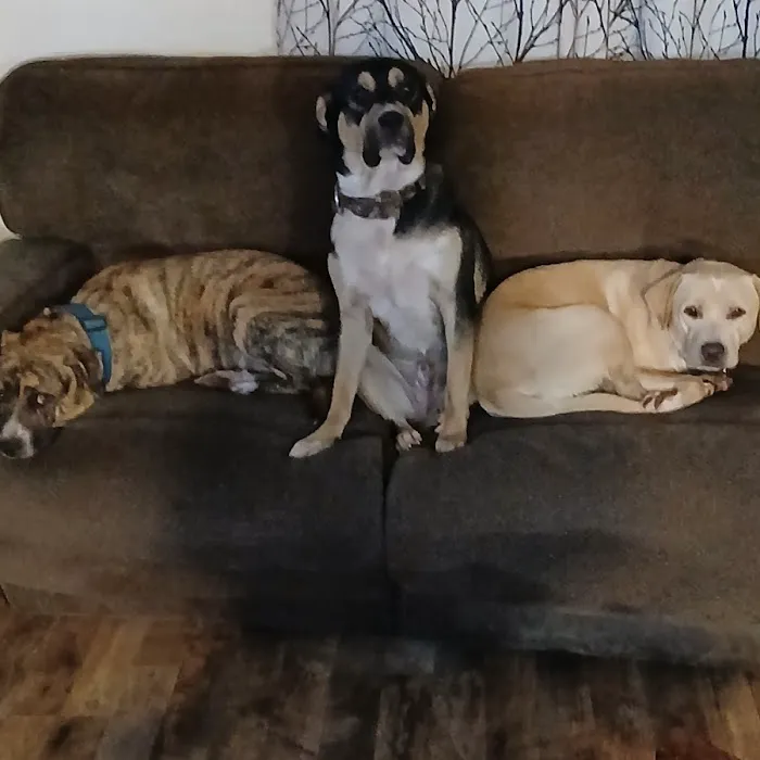 Riverbend Mobile Veterinary Picture 5