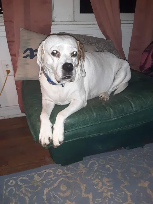 Riverbend Mobile Veterinary Picture 4