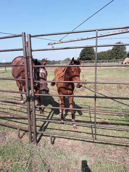 Riverbend Mobile Veterinary Picture 7