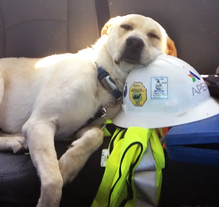 Riverbend Mobile Veterinary Picture 10