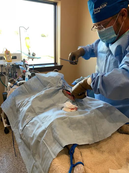 Hooves and Paws Animal Hospital of Central Oklahoma Picture 8