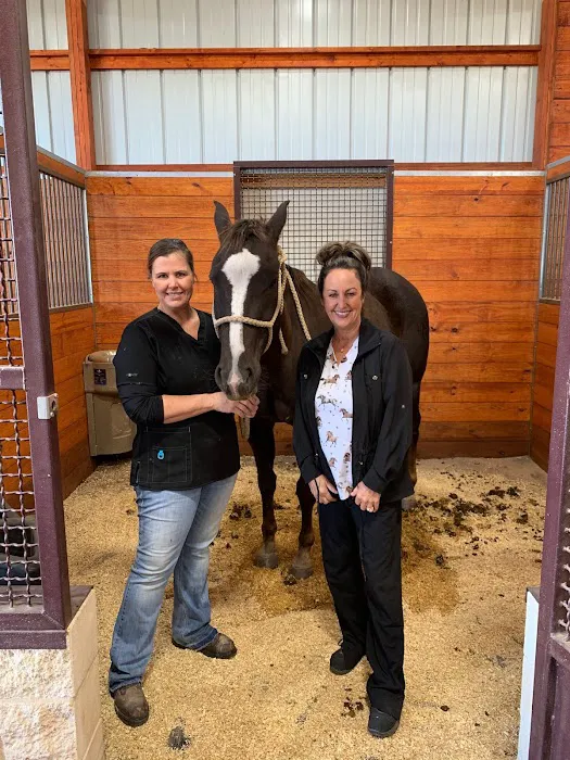 Hooves and Paws Animal Hospital of Central Oklahoma Picture 9