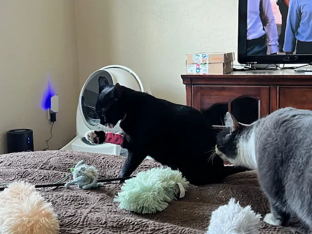 Walnut Creek Animal Hospital & Pet Resort Picture 2