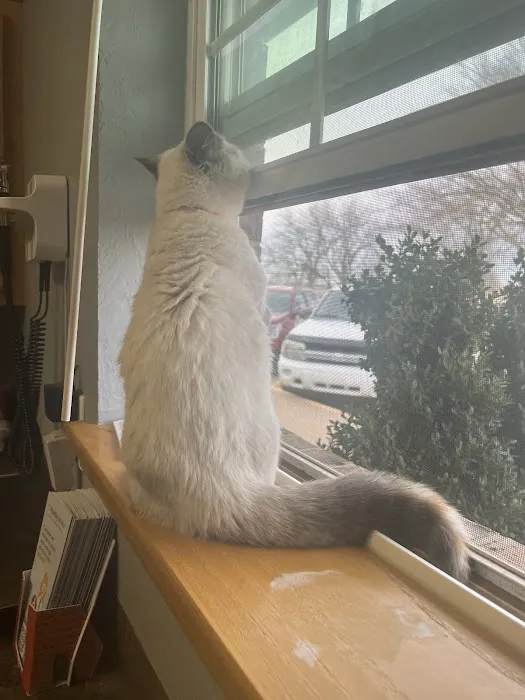 Walnut Creek Animal Hospital & Pet Resort Picture 7