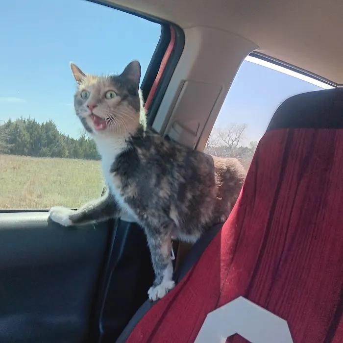 Walnut Creek Animal Hospital & Pet Resort Picture 10