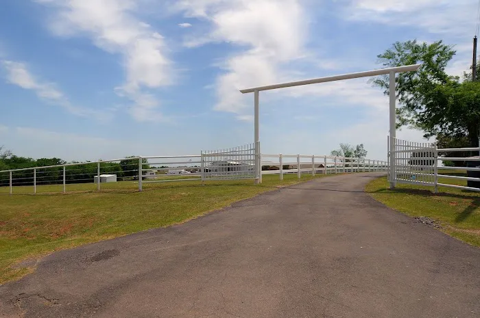 Precision Equine Surgery Picture 5