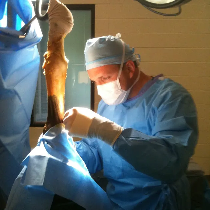 Precision Equine Surgery Picture 6
