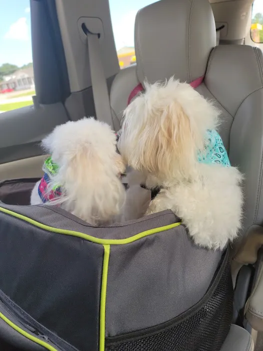 Arlington Animal Clinic Picture 1