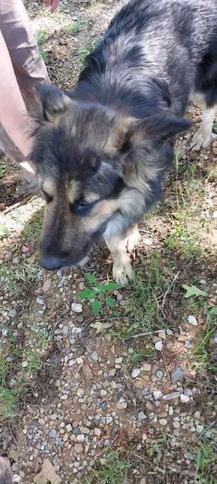 Arlington Animal Clinic Picture 6