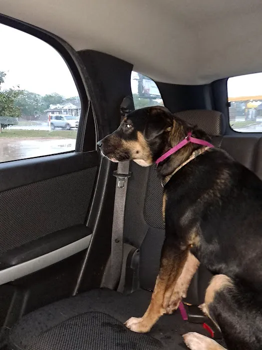 Arlington Animal Clinic Picture 5