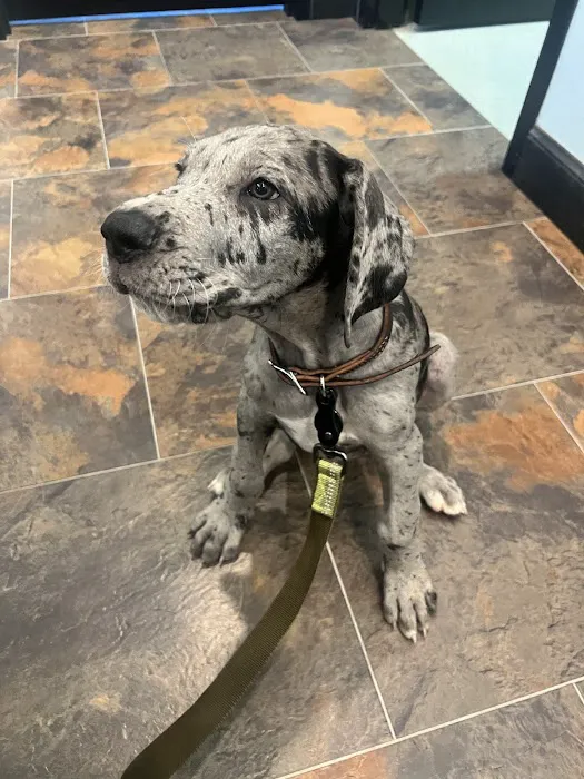 Southern Oklahoma Veterinary Center Picture 2