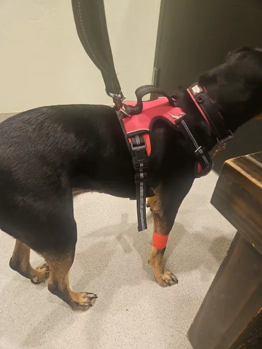 Southern Oklahoma Veterinary Center Picture 3