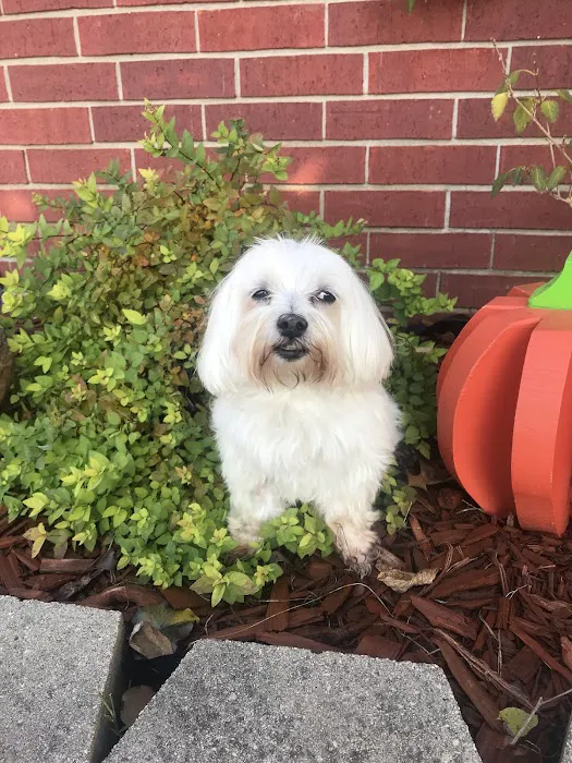 Southern Oklahoma Veterinary Center Picture 7