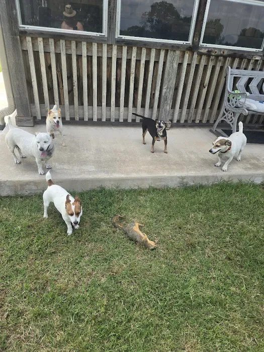 Southern Oklahoma Veterinary Center Picture 8