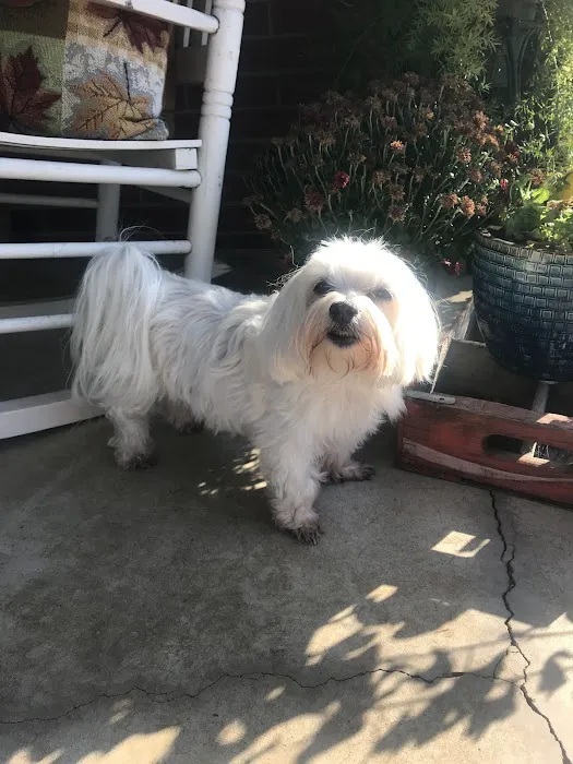 Southern Oklahoma Veterinary Center Picture 9