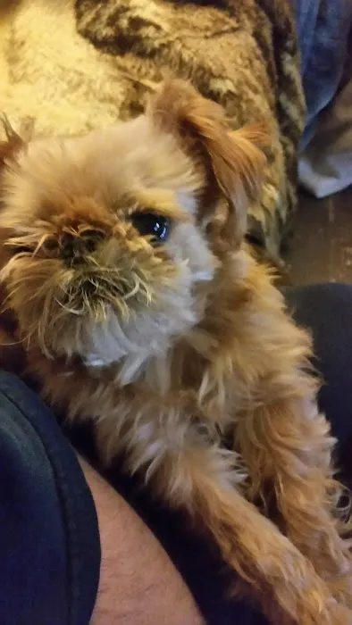 Animal Medical Center LLC Picture 1