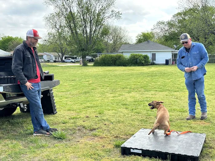 Ada Veterinary Clinic Picture 3