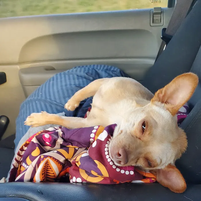 Ada Veterinary Clinic Picture 2