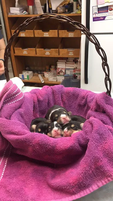 Ada Veterinary Clinic Picture 6