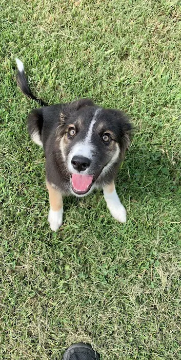 Ada Veterinary Clinic Picture 4