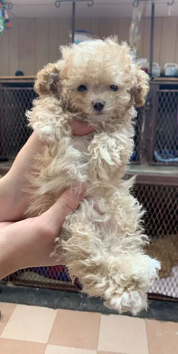 Ada Veterinary Clinic Picture 10