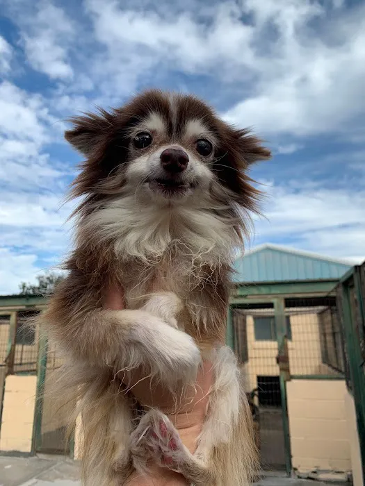 Ada Veterinary Clinic Picture 9