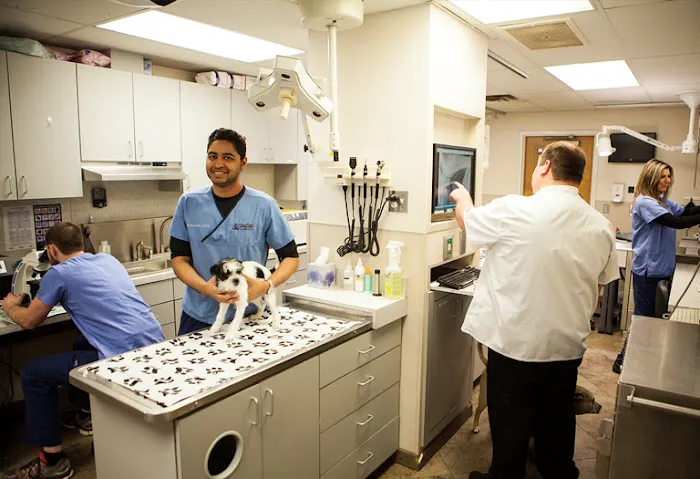 Rose Rock Veterinary Hospital & Pet Resort Picture 7