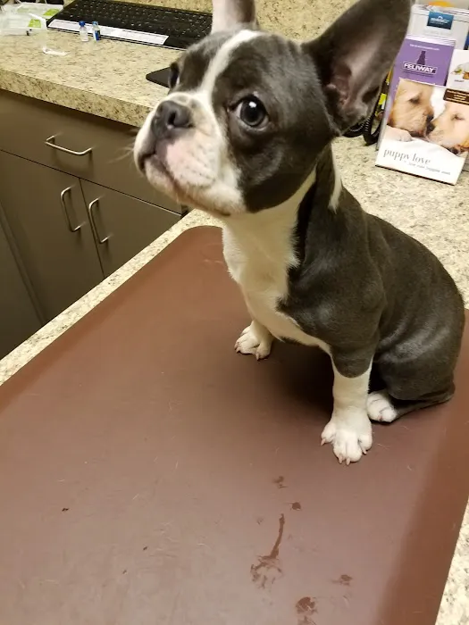 Rose Rock Veterinary Hospital & Pet Resort Picture 6