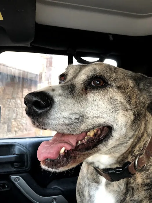 Rose Rock Veterinary Hospital & Pet Resort Picture 10