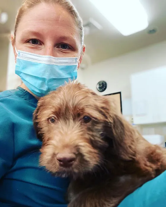 Veterinary Emergency Referral Center Picture 8