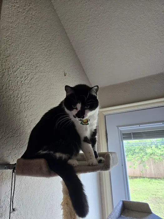 Park Lane Veterinary Hospital Picture 3