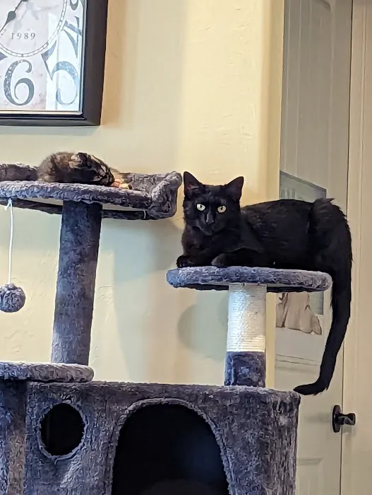 Park Lane Veterinary Hospital Picture 2