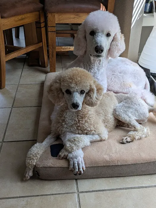 Park Lane Veterinary Hospital Picture 10