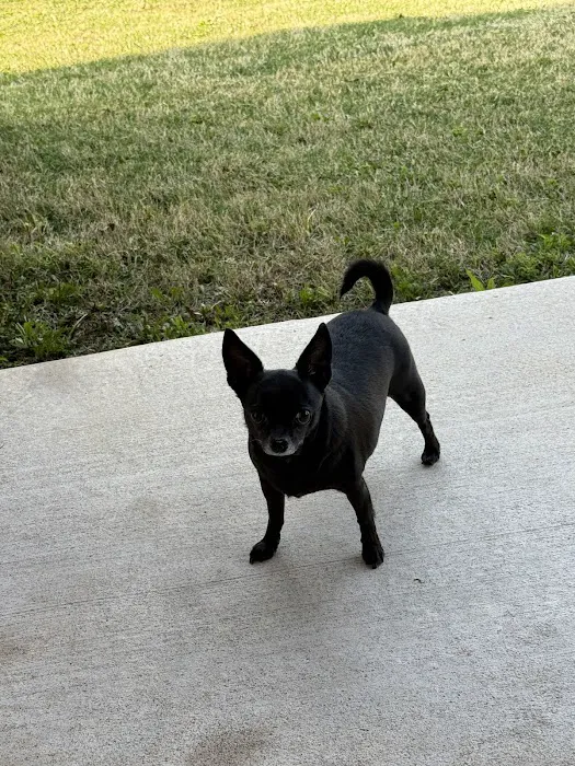 Banfield Pet Hospital Picture 5