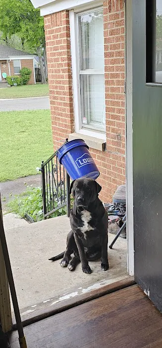 Vetco Total Care Animal Hospital Picture 1