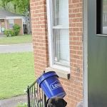 Vetco Total Care Animal Hospital