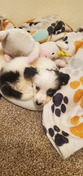 Vetco Total Care Animal Hospital Picture 7