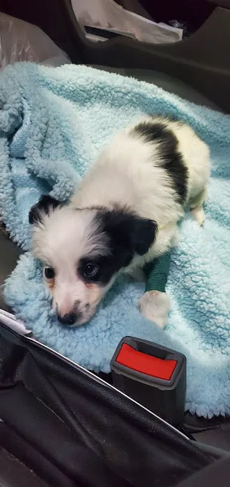 Vetco Total Care Animal Hospital Picture 8