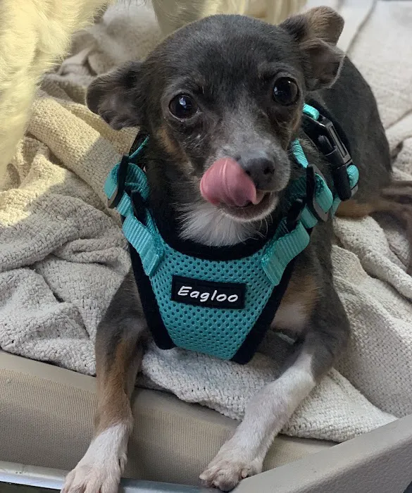 Vetco Total Care Animal Hospital Picture 9