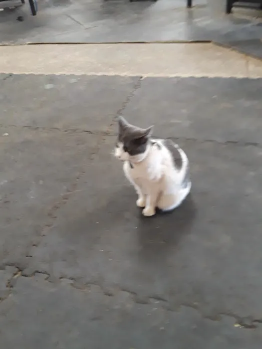 Interstate Equine Hospital Picture 2