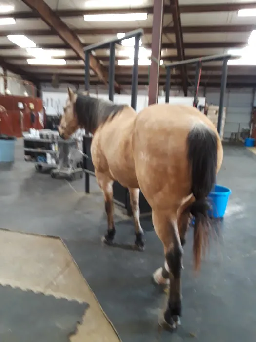 Interstate Equine Hospital Picture 3