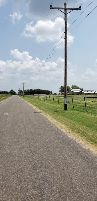 Oklahoma Equine Hospital, Inc Picture 2