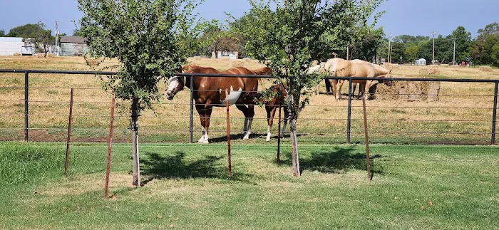 Oklahoma Equine Hospital, Inc Picture 1