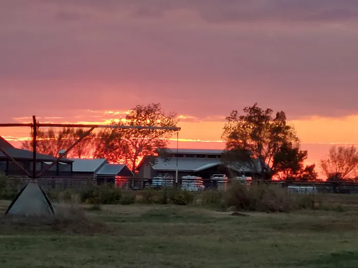 Oklahoma Equine Hospital, Inc Picture 4