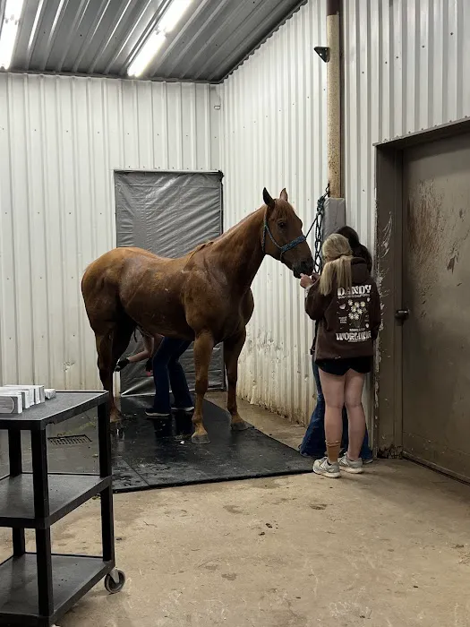 Oklahoma Equine Hospital, Inc Picture 5