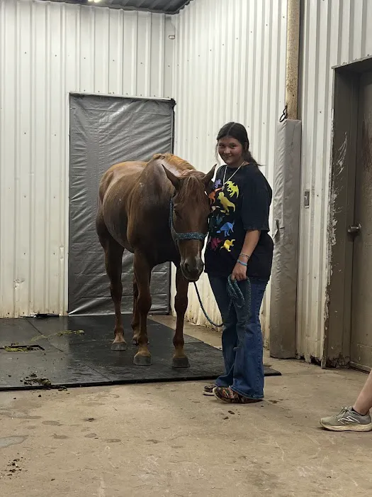 Oklahoma Equine Hospital, Inc Picture 8