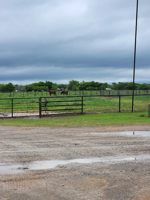 Oklahoma Equine Hospital, Inc Picture 10